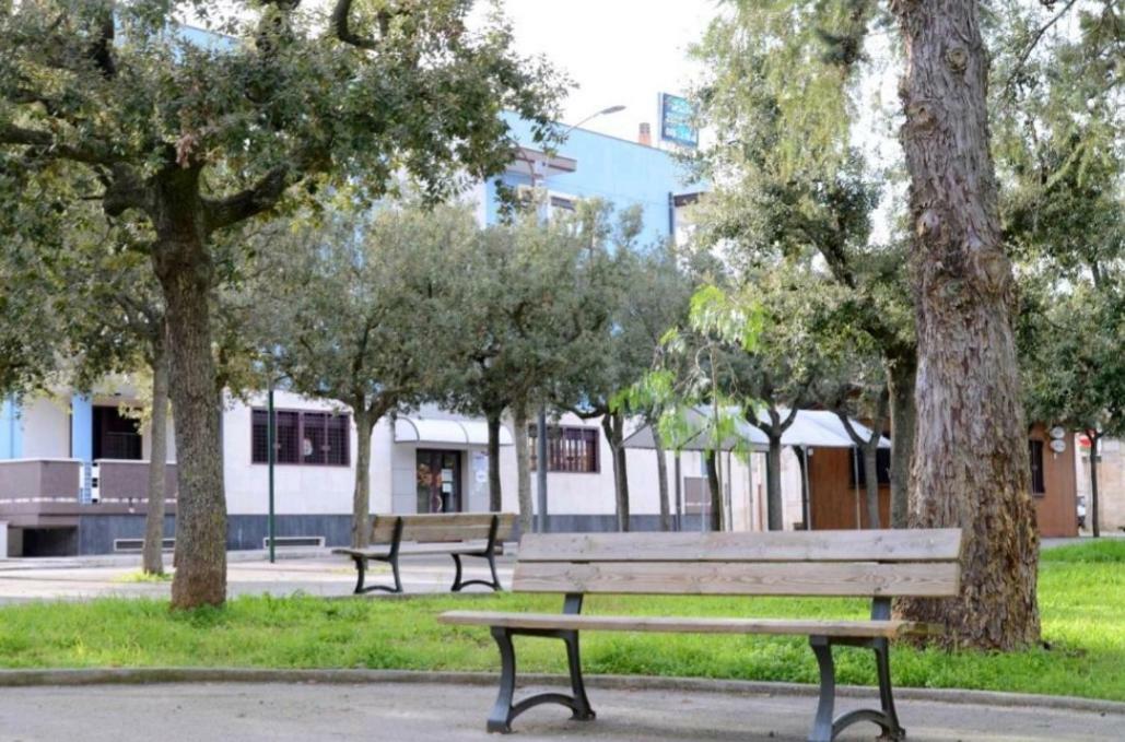"La Casa Di Mariagrazia" Rooms Con Cucina Condivisa E Terrazza Sammichele Di Bari Eksteriør bilde