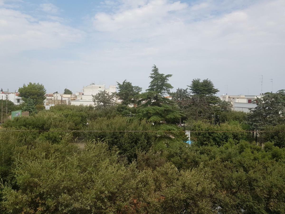 "La Casa Di Mariagrazia" Rooms Con Cucina Condivisa E Terrazza Sammichele Di Bari Eksteriør bilde